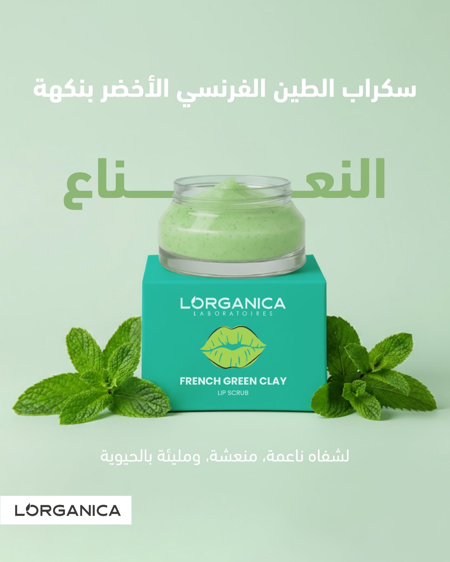 buy 2 get 1 free 12$ سكراب الشفاه رجع بعرض مميز